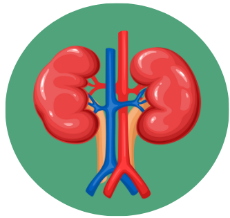 Descripción del ícono